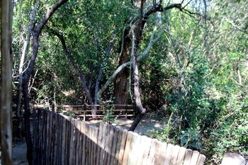 hoedspruit