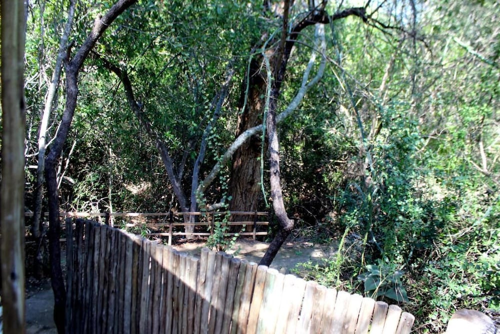 hoedspruit