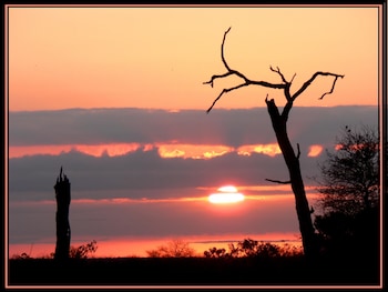 hoedspruit
