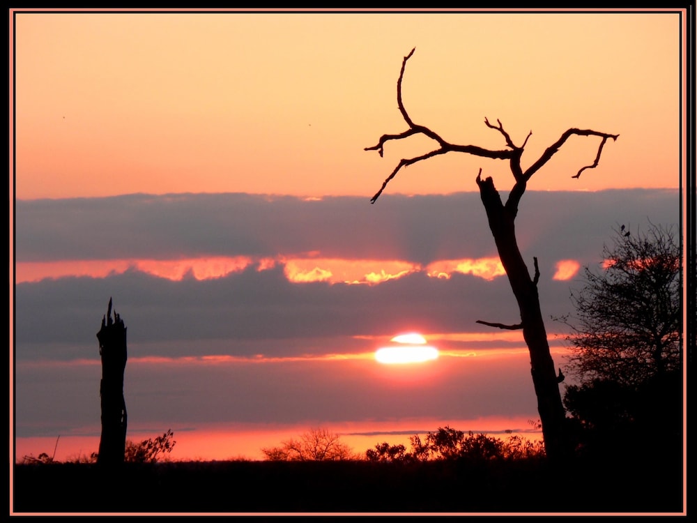 hoedspruit