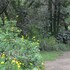 hoedspruit