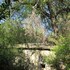 hoedspruit