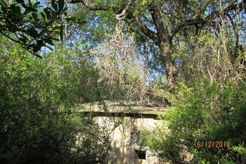 hoedspruit