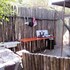 hoedspruit