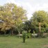 hoedspruit