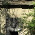 hoedspruit