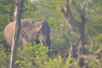 hoedspruit