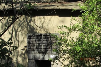 hoedspruit