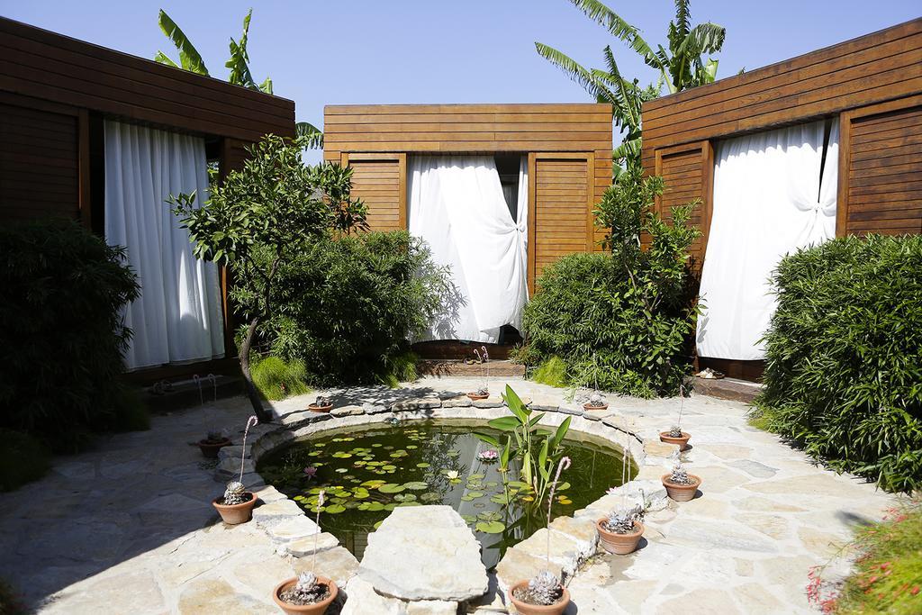 the lifeco bodrum well being center adults only
