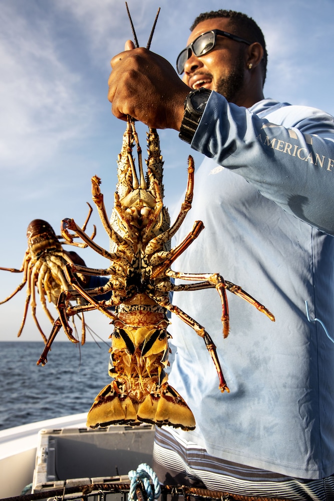 golden rock dive and nature resort