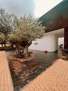 Ecork Hotel Evora,,4 star