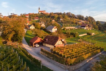 vineyard cottage hocevar