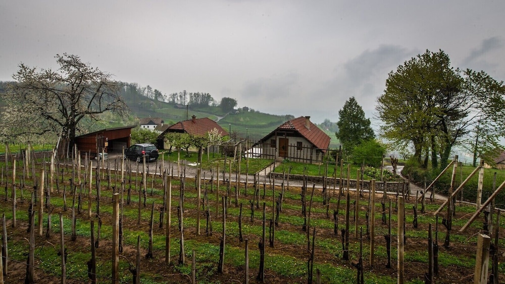 vineyard cottage hocevar