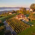 vineyard cottage hocevar