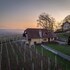vineyard cottage hocevar