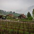 vineyard cottage hocevar