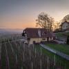 vineyard cottage hocevar