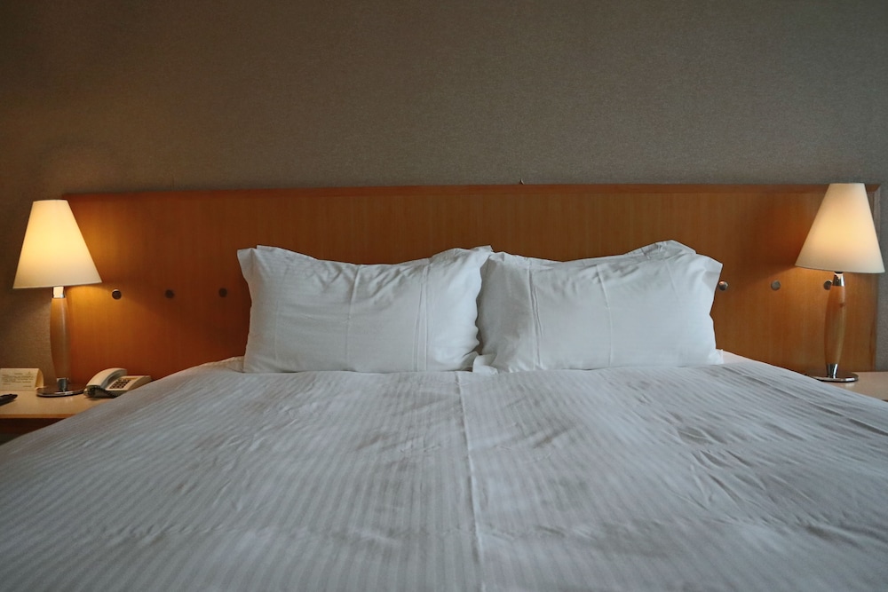 jin jiang tian cheng hotel