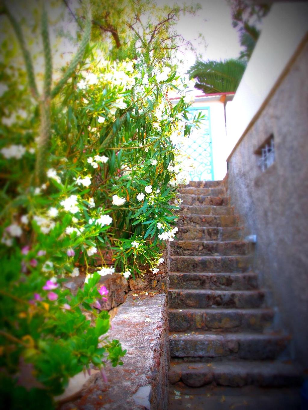 panorama hotel bodrum