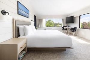 the pell part of jdv by hyatt