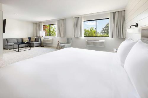 the pell part of jdv by hyatt