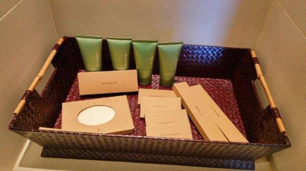 saranam resort and spa
