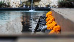 manzelejepun luxury villas