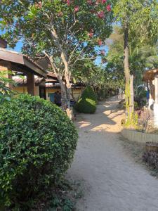 coco lanta eco resort