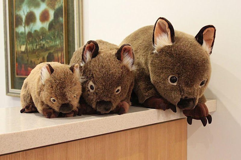 panorama retreat and resort