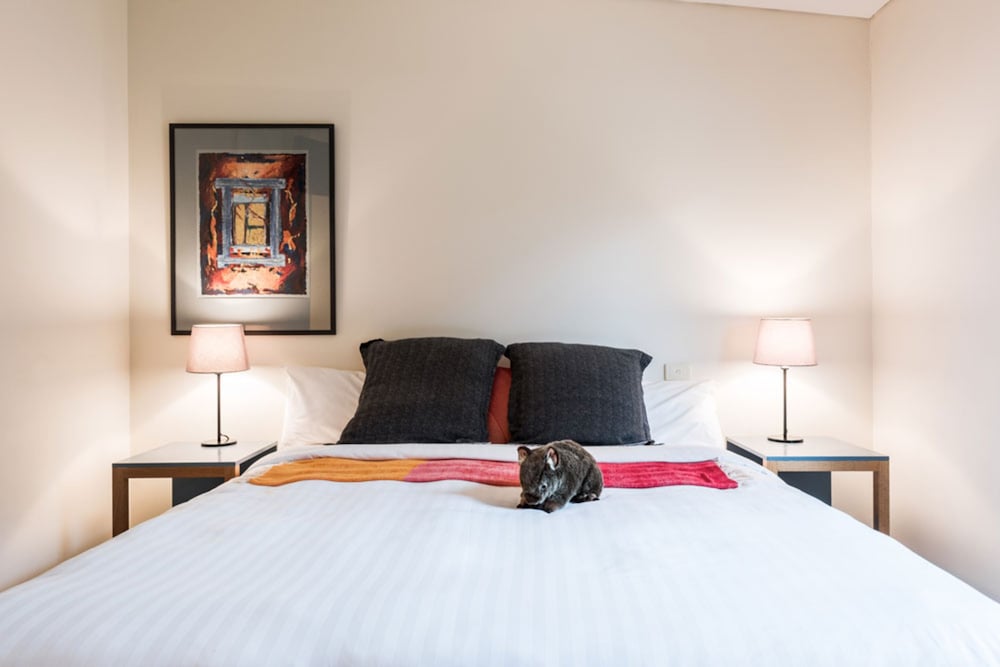 panorama retreat and resort