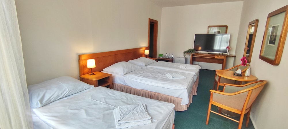 hotel magnolia roudnice