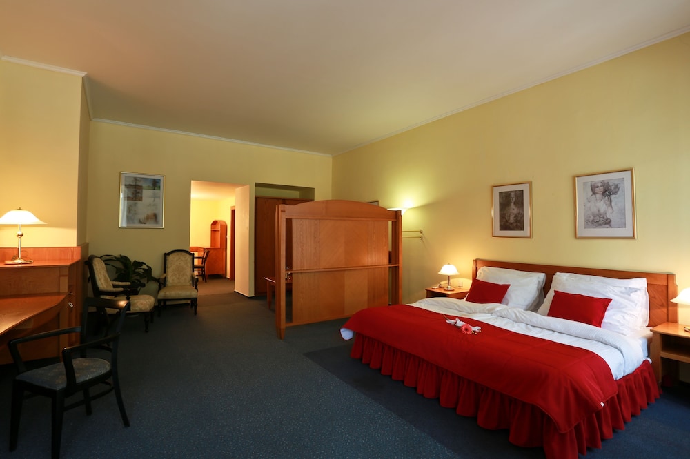 hotel magnolia roudnice