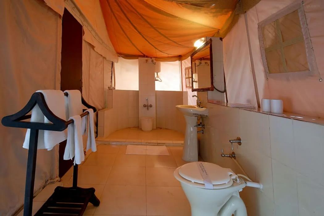 gir lion safari camp