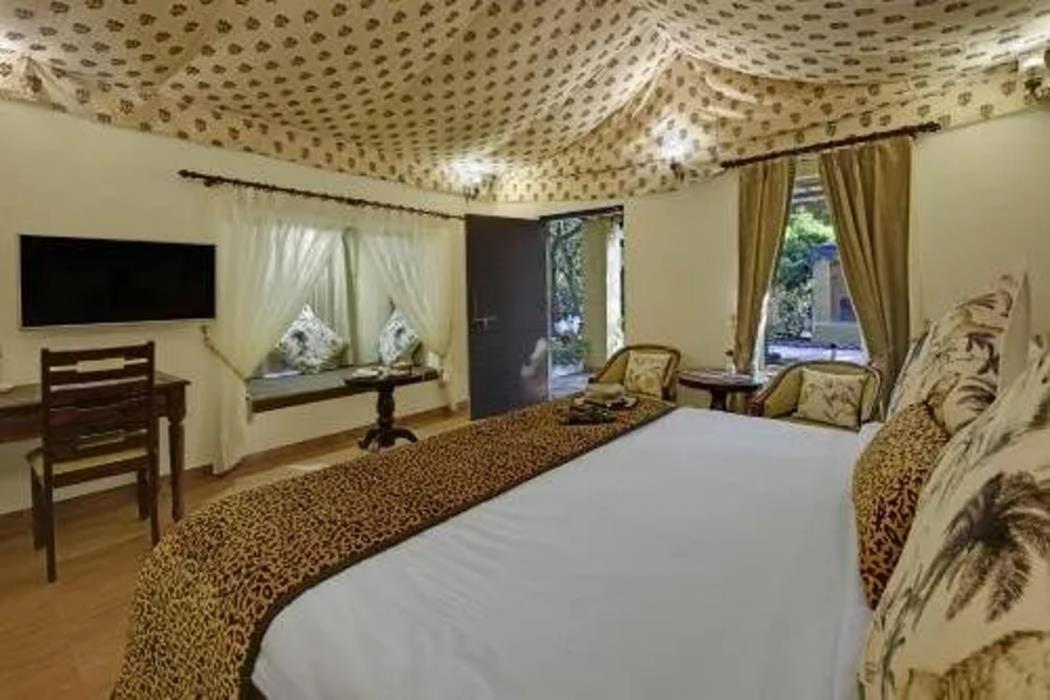 gir lion safari camp