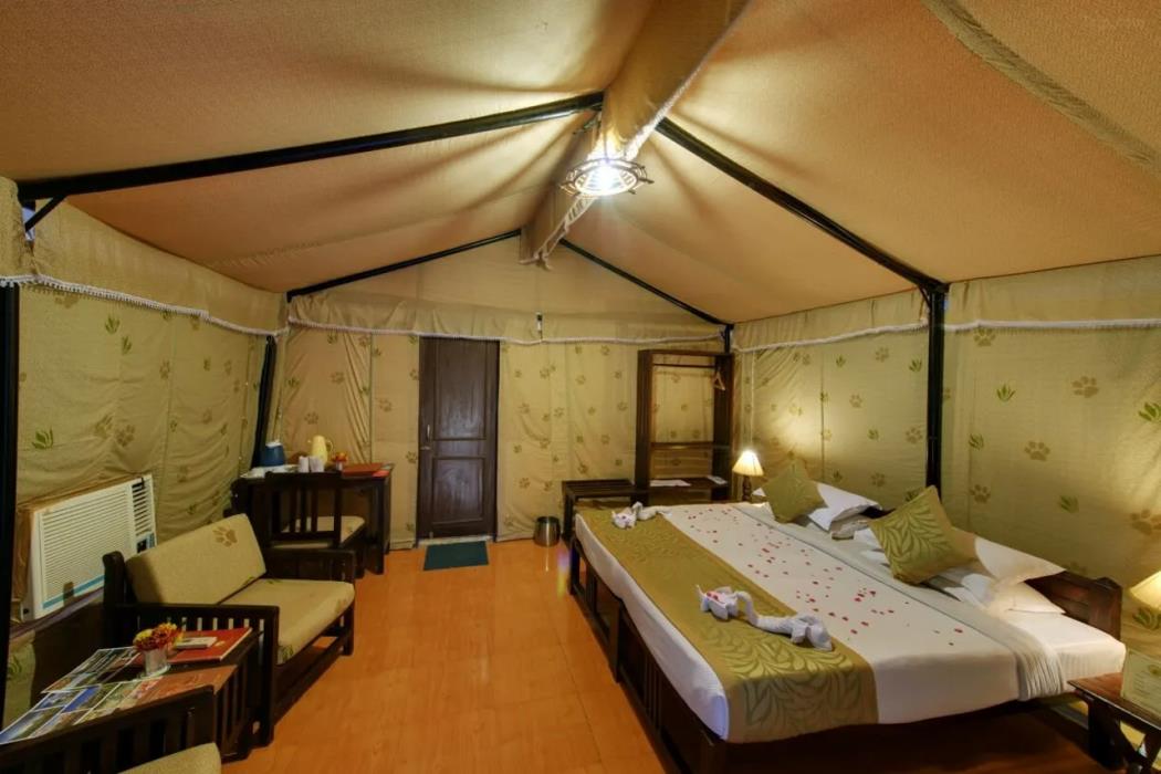 gir lion safari camp