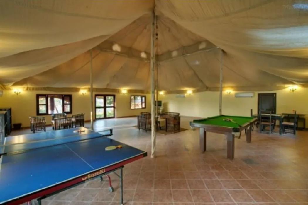 gir lion safari camp