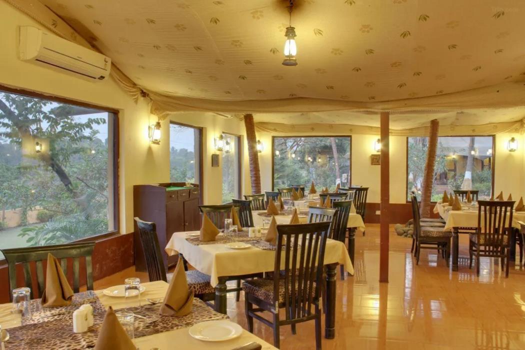 gir lion safari camp