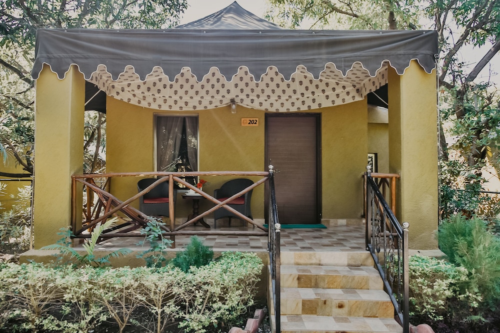 gir lion safari camp