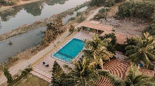gir lion safari camp