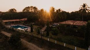 gir lion safari camp