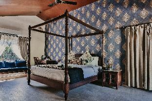 gir lion safari camp