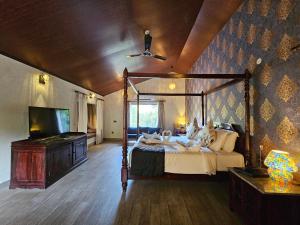 gir lion safari camp