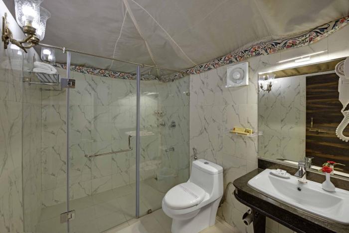 gir lion safari camp