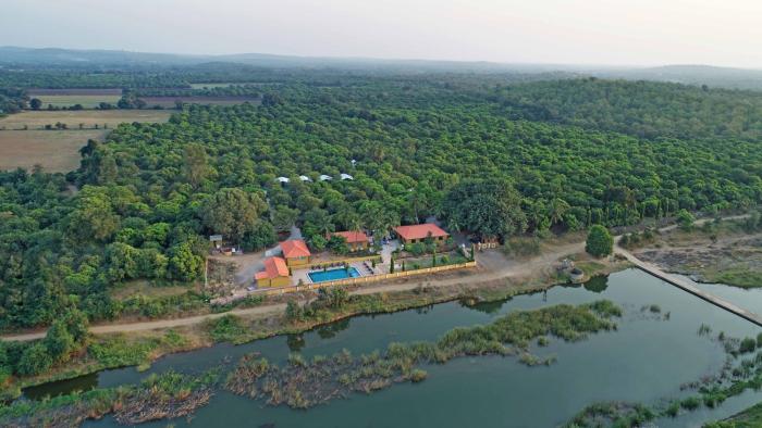 gir lion safari camp