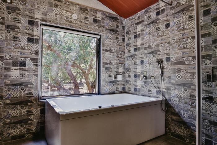 gir lion safari camp