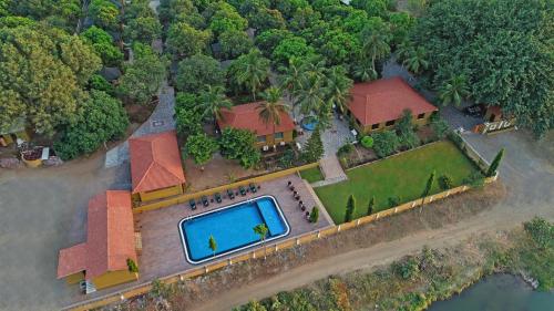 gir lion safari camp