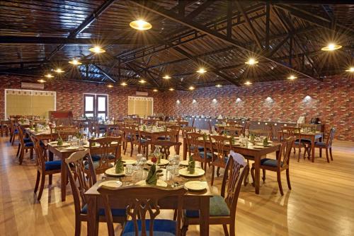 gir lion safari camp