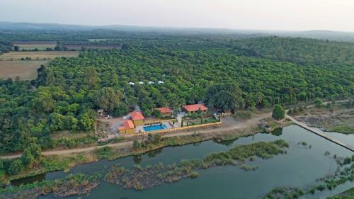 gir lion safari camp