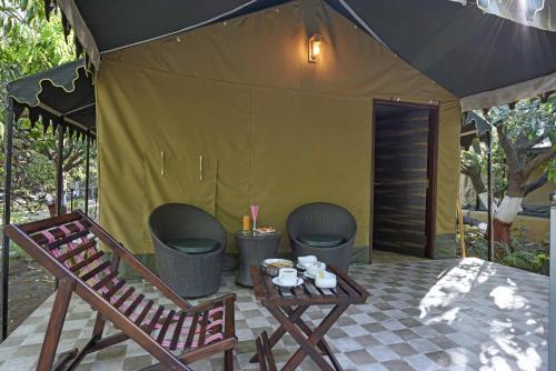 gir lion safari camp