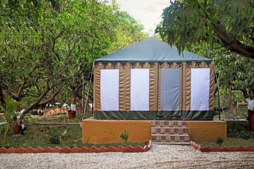 gir lion safari camp